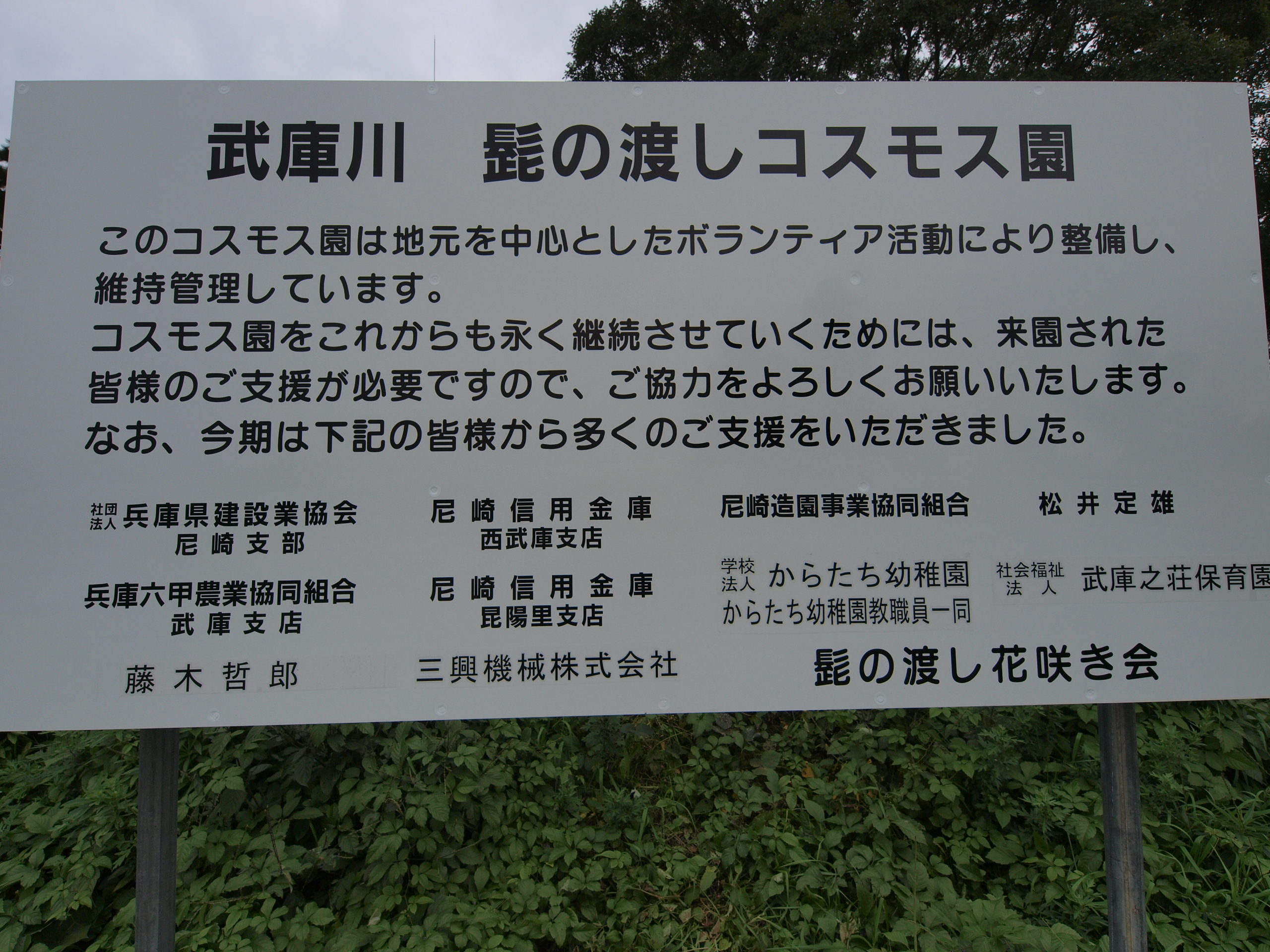 PB032010.JPG